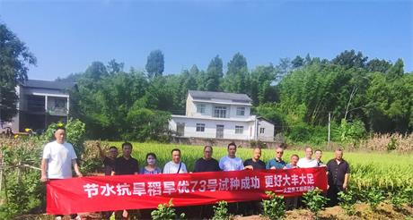 大足区工程师协会农业专委会节水抗旱稻“旱优73号”在大足区试种成功