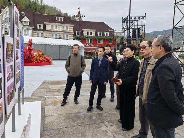 大足区工程师协会 全力助推玉龙镇文旅提质升级